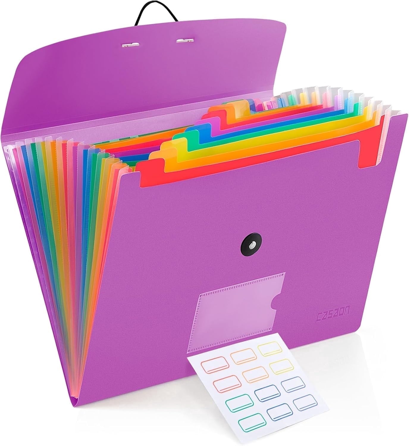 Accordion File Folder, 13-Pockets Expandable File Folder for A4 Letter Size Paper, Blue
