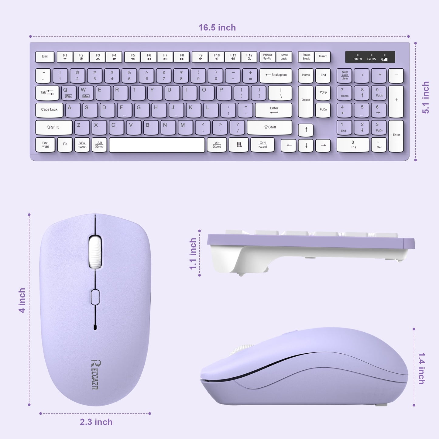 RECCAZR Wireless Keyboard and Mouse Combo , 2.4G Full Size, 12 Multimedia and Shortcut Keys, 3-Year Battery Life, for Windows, Mac OS Desktop/Laptop/PC(Purple)
