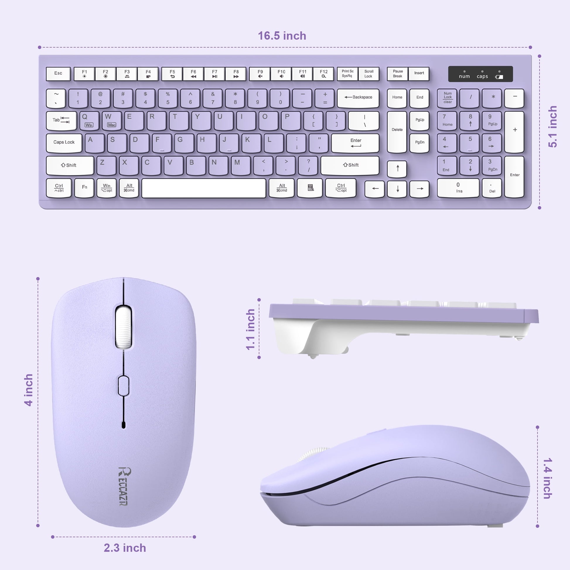 RECCAZR Wireless Keyboard and Mouse Combo , 2.4G Full Size, 12 Multimedia and Shortcut Keys, 3-Year Battery Life, for Windows, Mac OS Desktop/Laptop/PC(Purple)