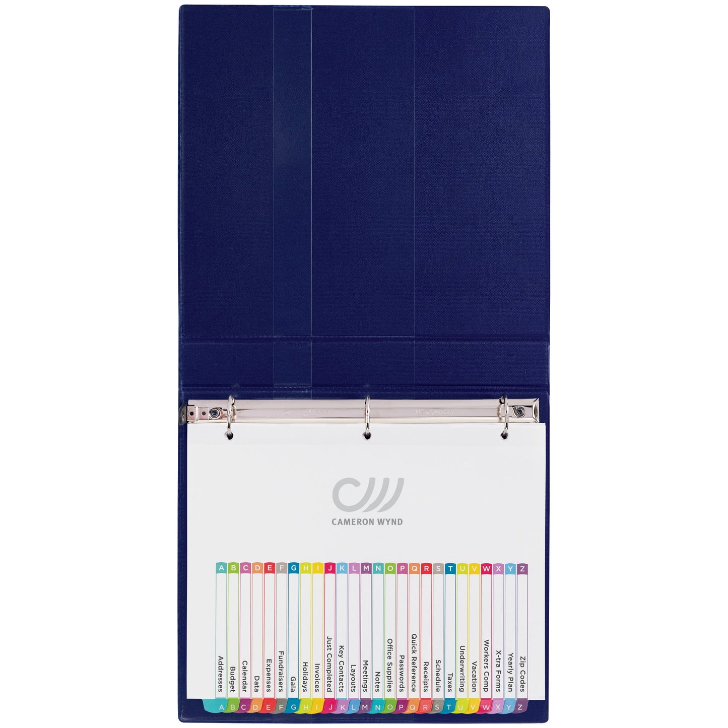Avery Dividers, 12 Tabs, Ready Index, Contemporary Tabs (11194)