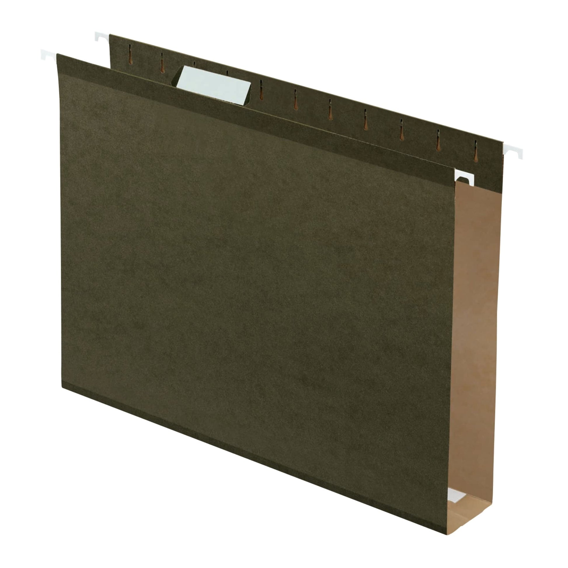 Pendaflex Extra Capacity Poly-laminate Hanging File Folders, Letter Size, 25/Pkg-Green, 1/5 Cut Tab