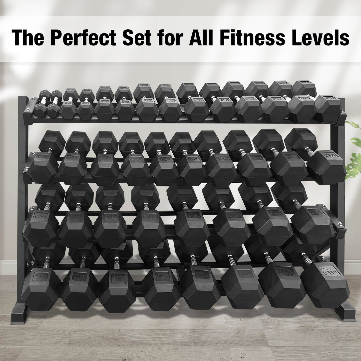 5–100 lbs Dumbbells Weight Set (20 Pairs) with Weight Storage Rack, 2100 lbs Hex Dumbbell Sets, Gyms Weights Dumbbells Sets with Rack, Weight Set for Home Gym, Strength Training