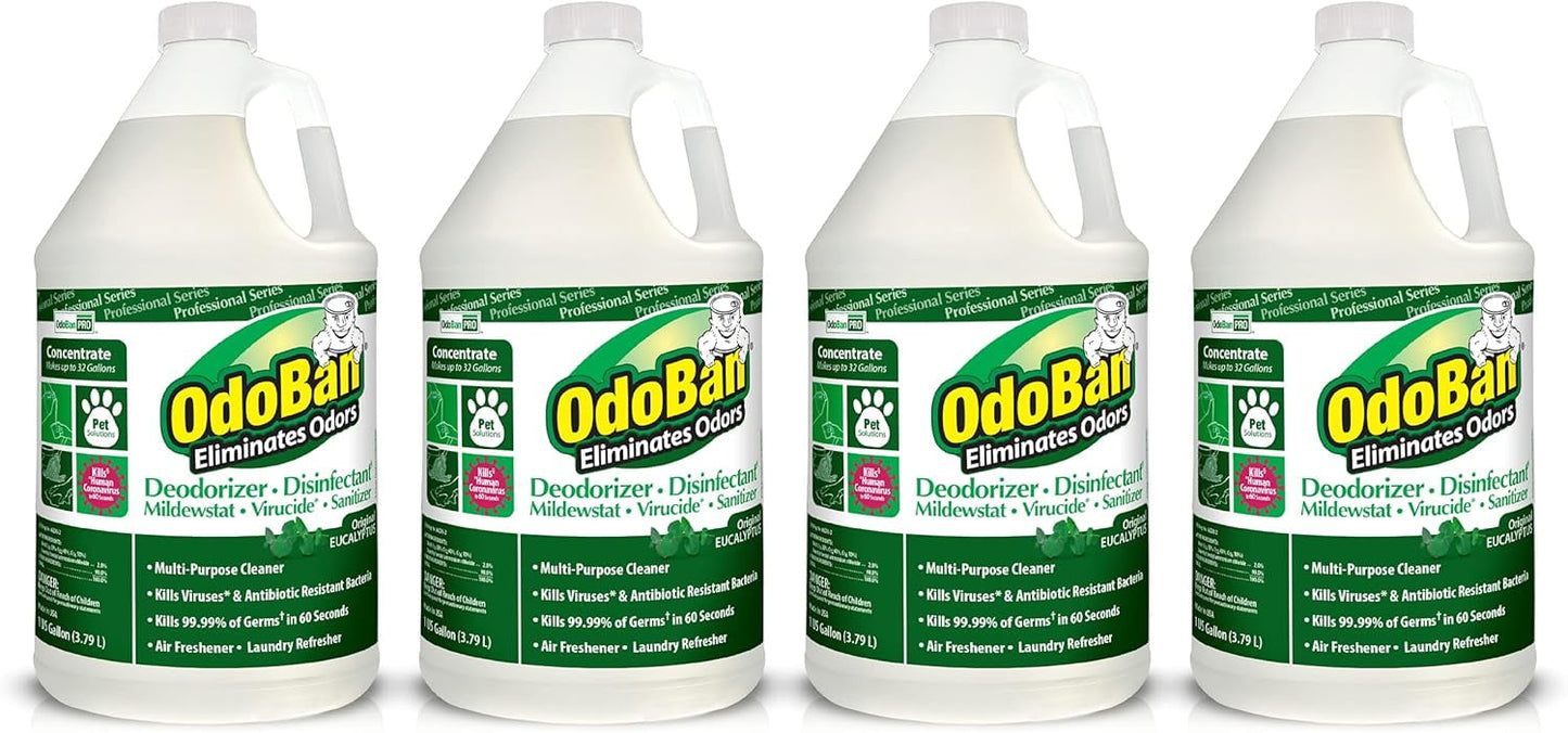 OdoBan Professional Disinfectant Cleaner and Odor Eliminator Concentrate, 2 Gallons, Original Eucalyptus Scent